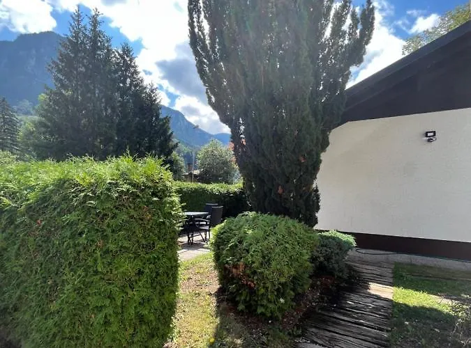 Pod Galetovcem Bohinjska Bela