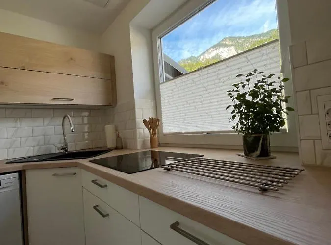 Pod Galetovcem 아파트 *