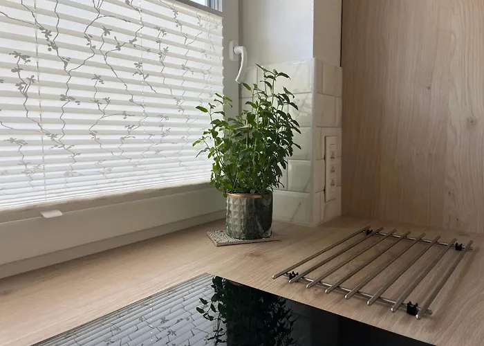 Pod Galetovcem 아파트 보힌스카 벨라